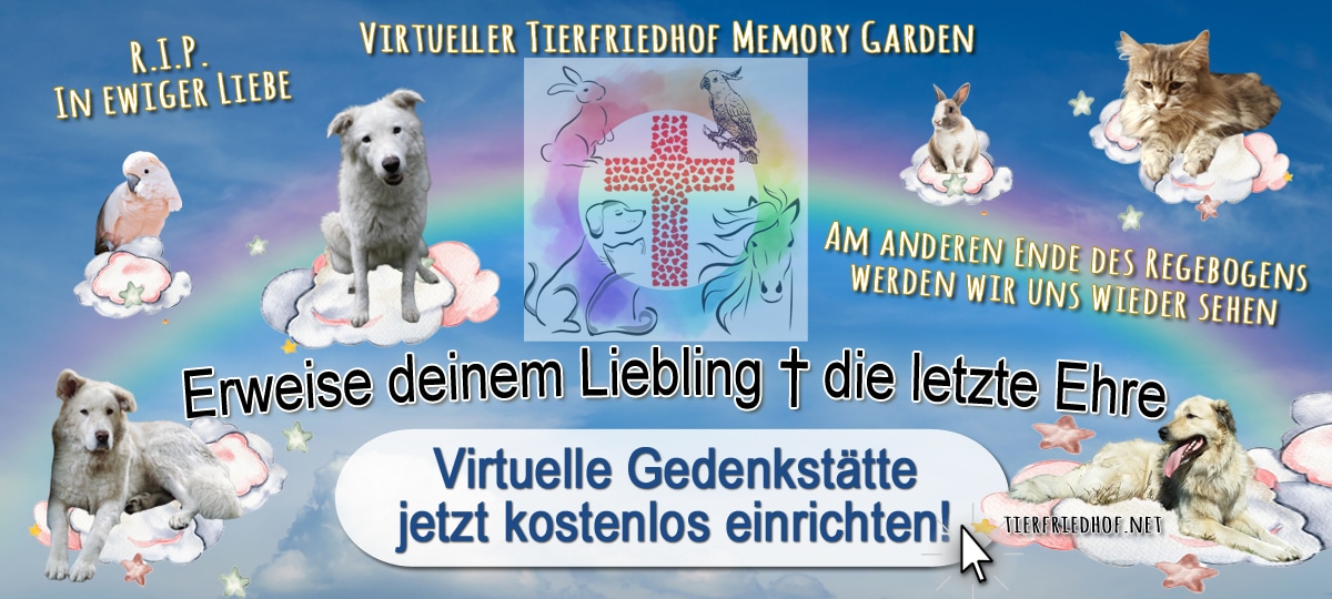 Virtueller Tierfriedhof kostenlos Memory Garden